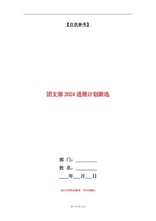 团支部2024发展计划新选