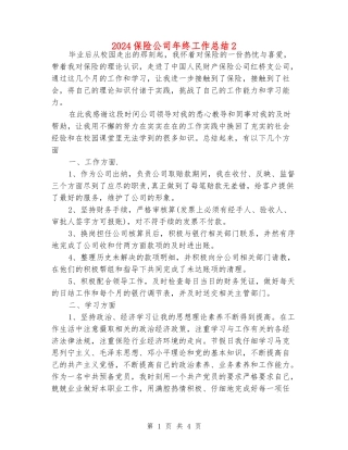 2024保险公司年终工作总结2