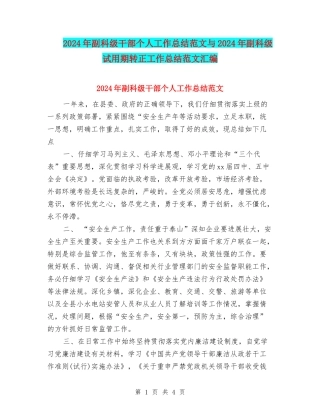2024年副科级干部个人工作总结范文与2024年副科级试用期转正工作总结范文汇编
