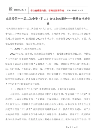 在县委第十一届二次全委(扩大)会议上的报告——聚精会神抓党建