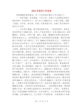 2024年驻村工作总结