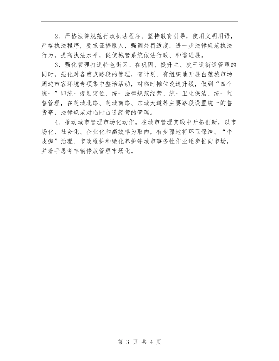 城管部门2024年度计划_第3页