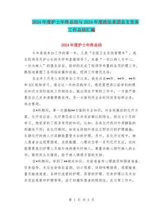 2024年度护士年终总结与2024年度政法系团总支党务工作总结汇编