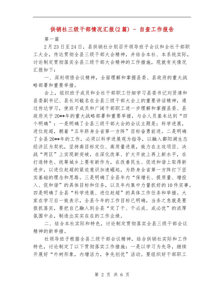 供销社三级干部情况汇报---自查工作报告_第2页