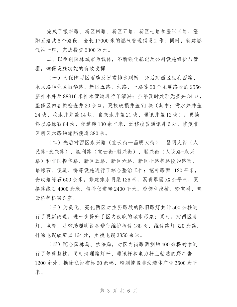 市级城市管理总结报告_第3页