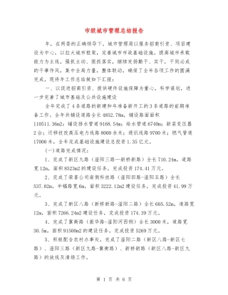 市级城市管理总结报告