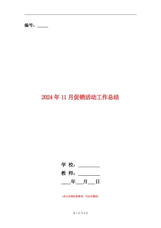 2024年11月促销活动工作总结