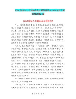 2024年拔尖人才表彰会会议领导讲话与2024年放飞梦想演讲稿汇编