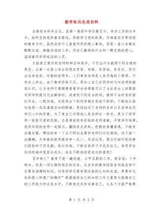 教学标兵先进材料