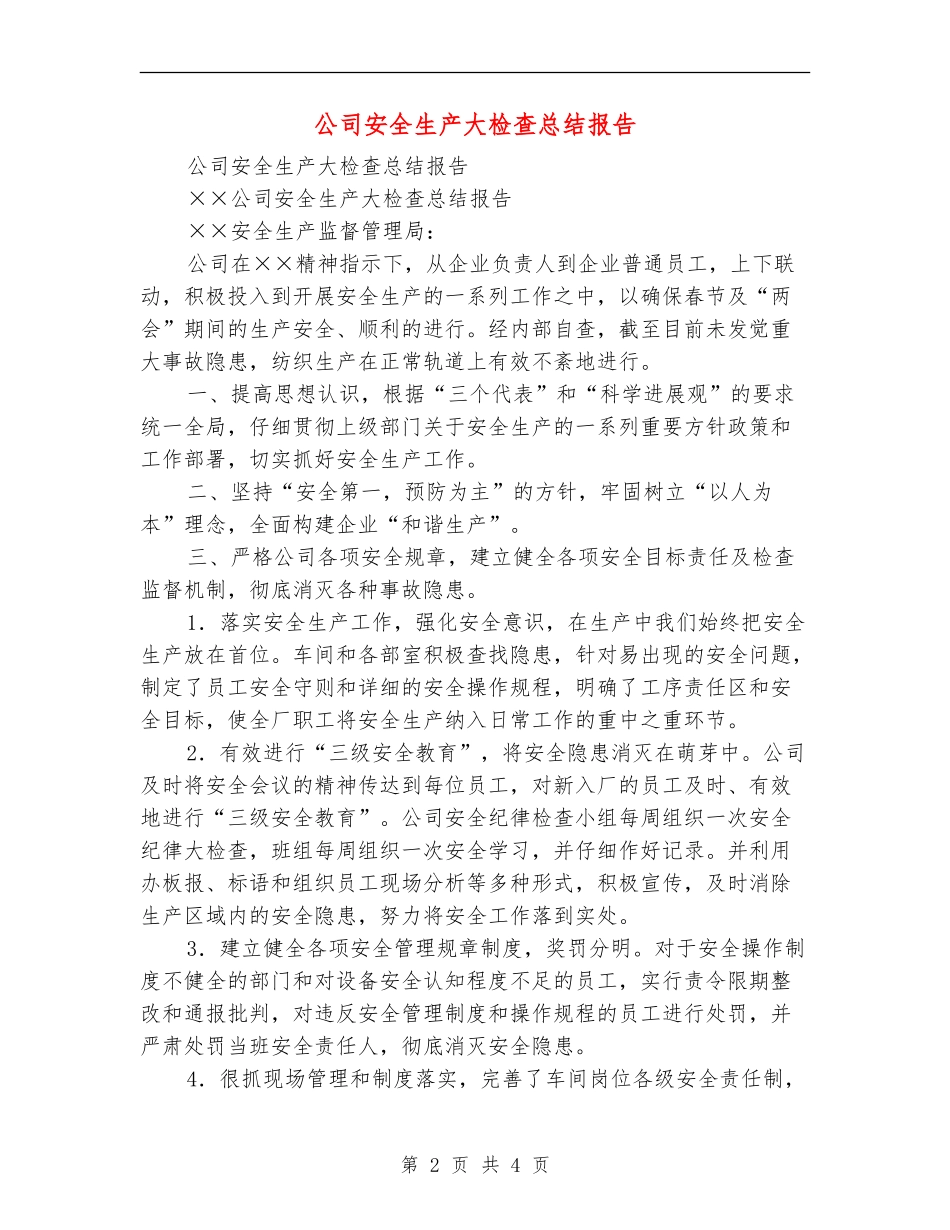 公司安全生产大检查总结报告_第2页