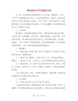 城区双节环保整改方案