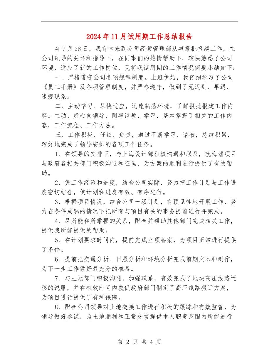 2024年11月试用期工作总结报告【新版】_第2页