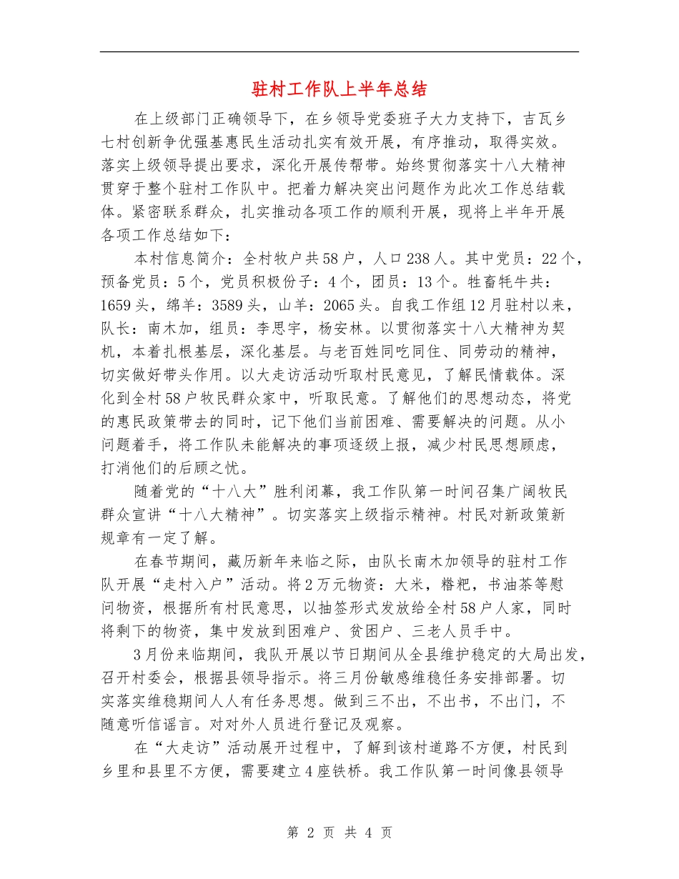 驻村工作队上半年总结_第2页