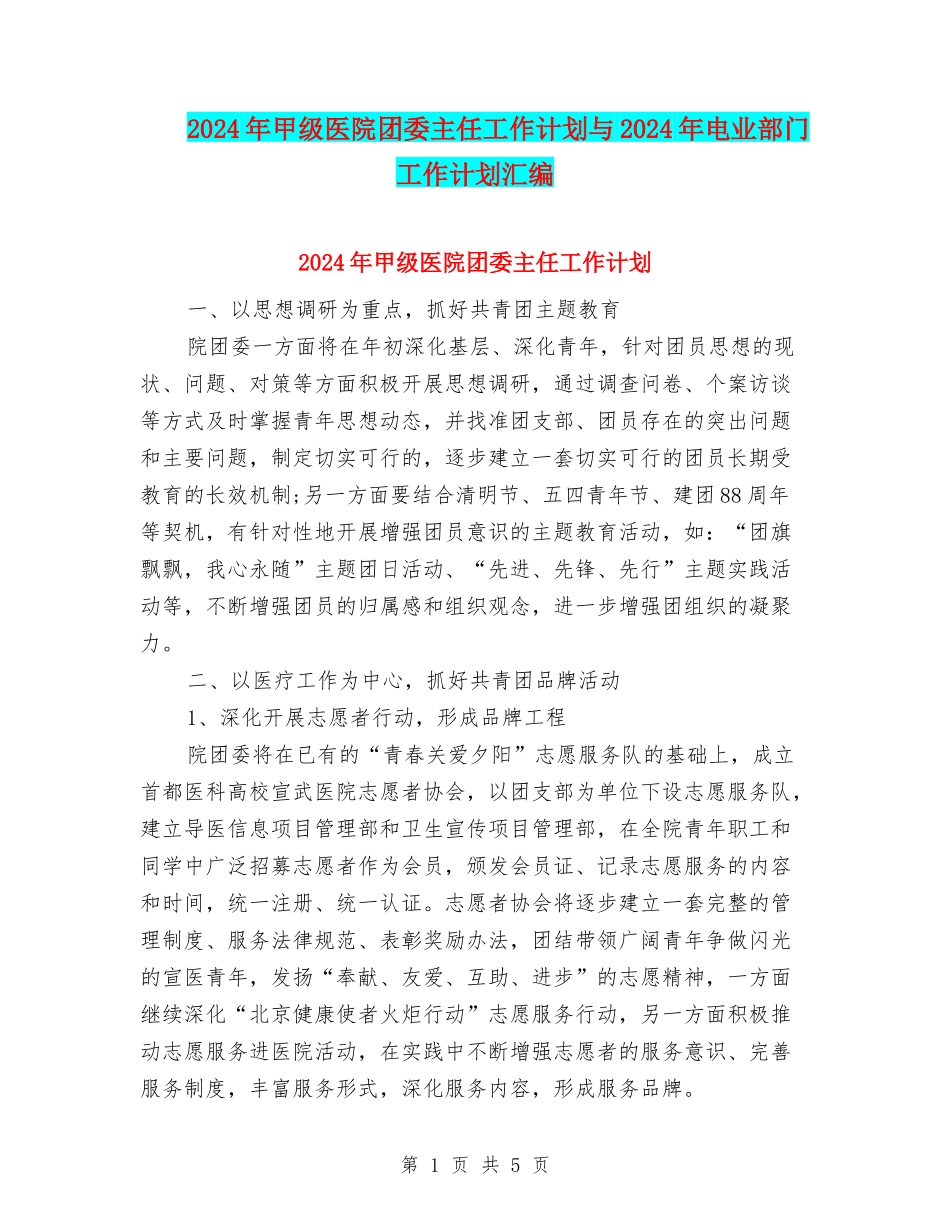 2024年甲级医院团委主任工作计划与2024年电业部门工作计划汇编_第1页