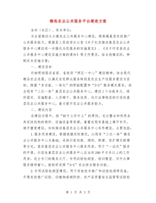 农业公共服务平台建造方案