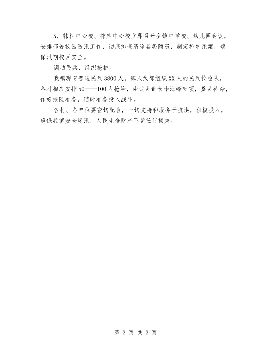 地方防汛抢险抗灾预案_第3页