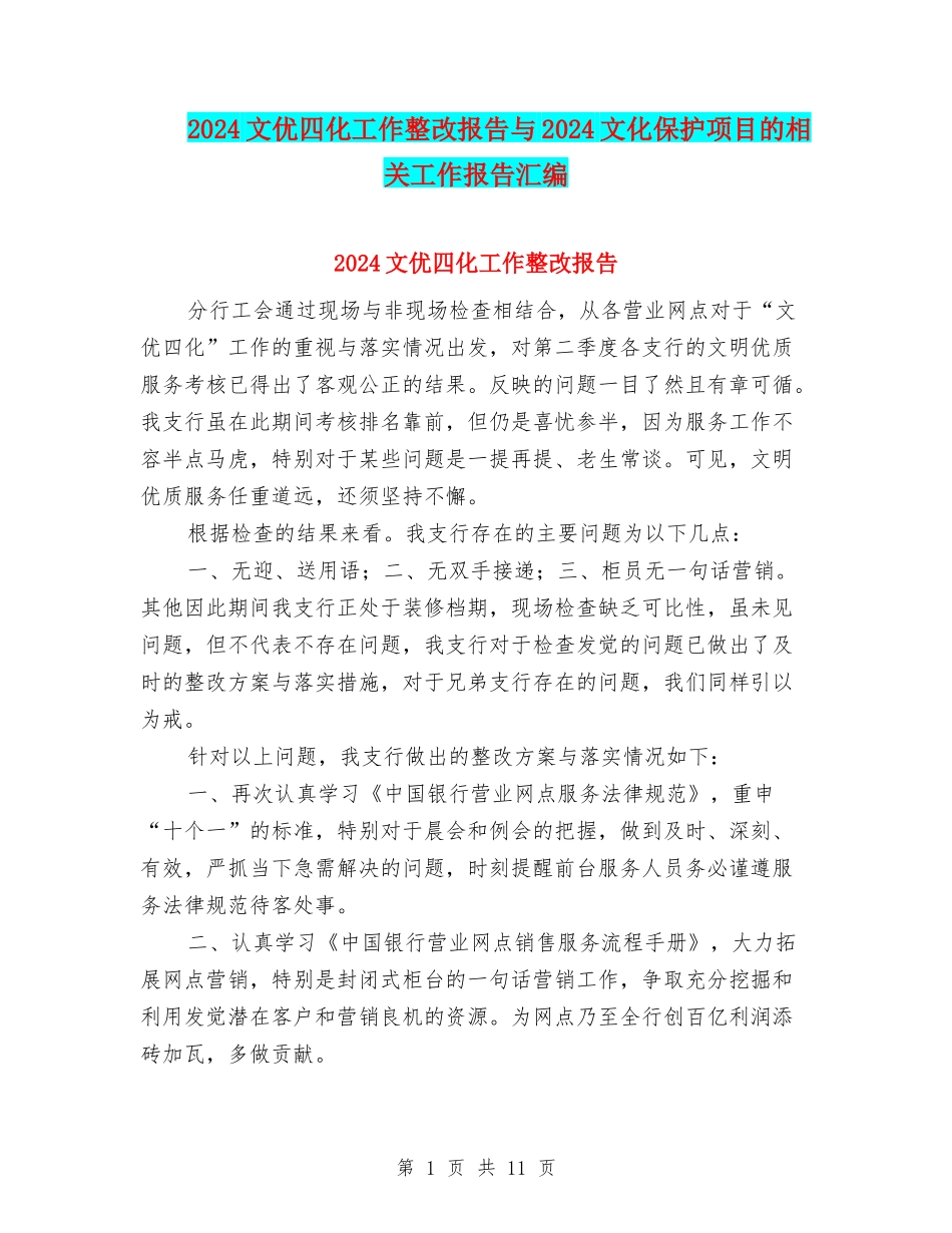 2024文优四化工作整改报告与2024文化保护项目的相关工作报告汇编_第1页