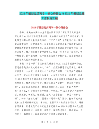 2024年基层党员两学一做心得体会与2024年基层党建工作报告汇编
