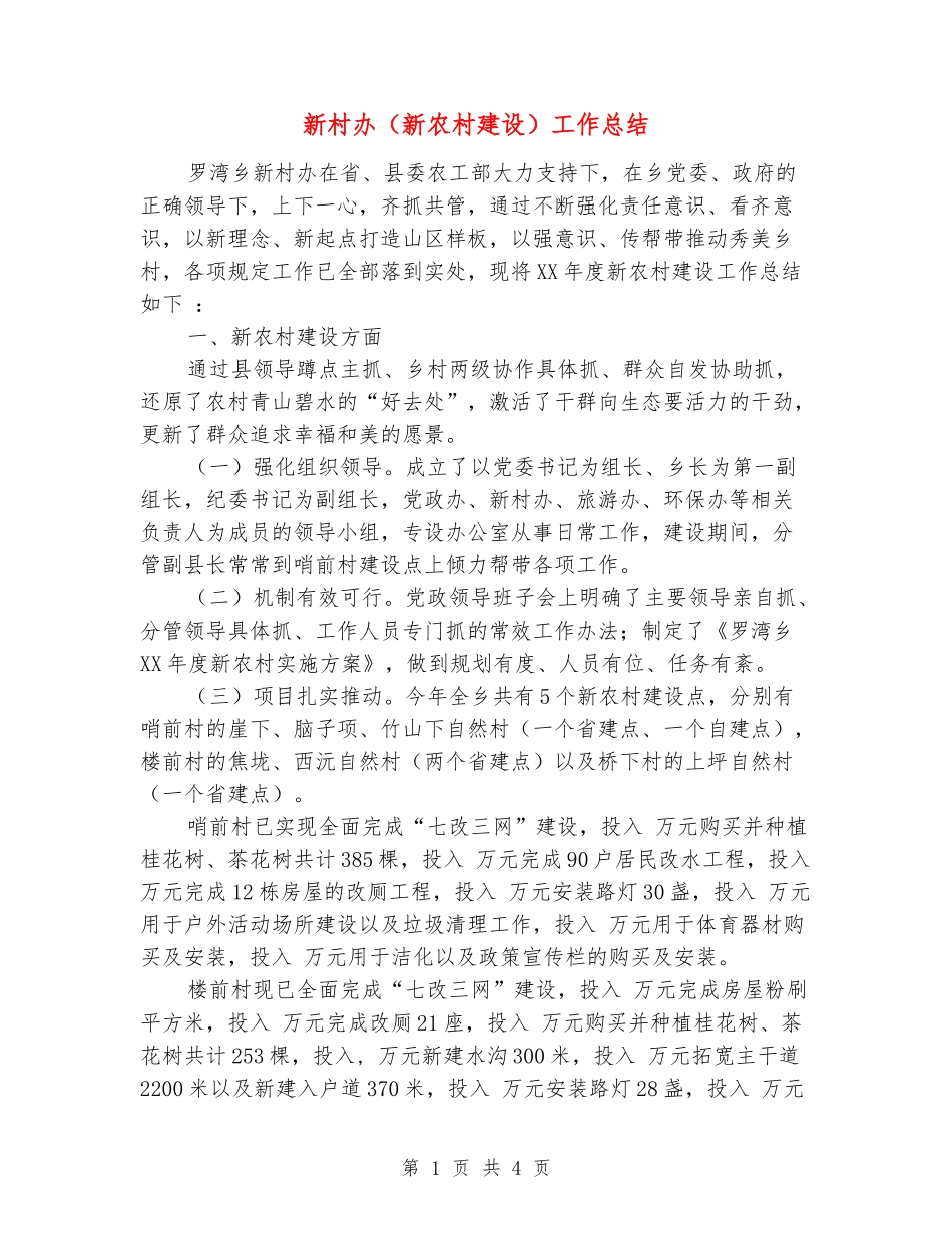 新村办工作总结_第1页