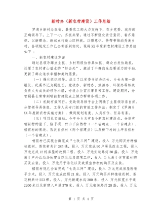 新村办工作总结
