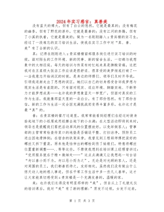 2024年实习感言：真善美