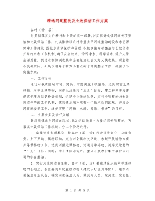 河道整改及长效保洁工作方案