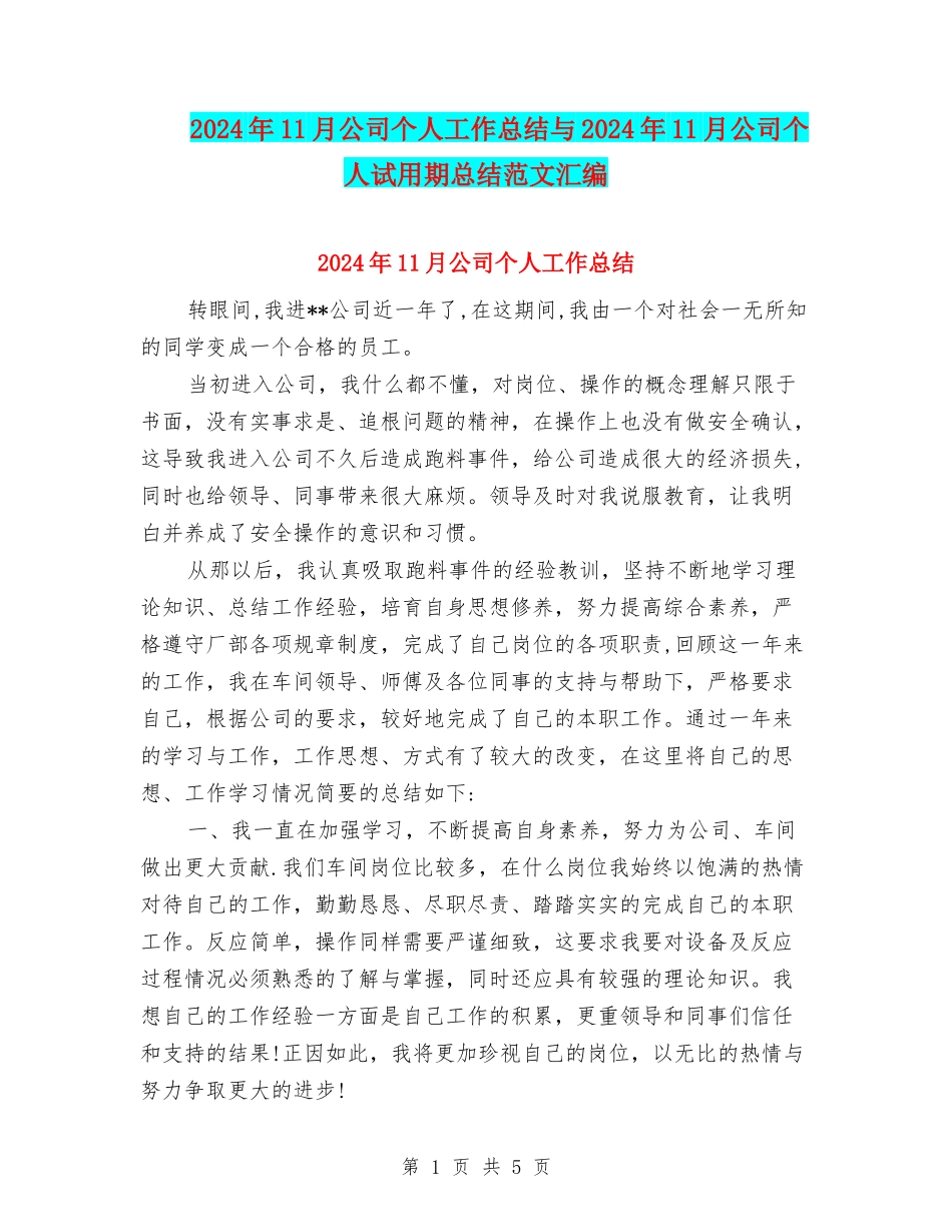 2024年11月公司个人工作总结与2024年11月公司个人试用期总结范文汇编_第1页