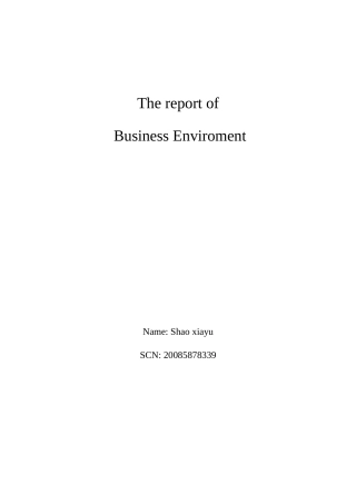 商务环境期中论文(已修改)