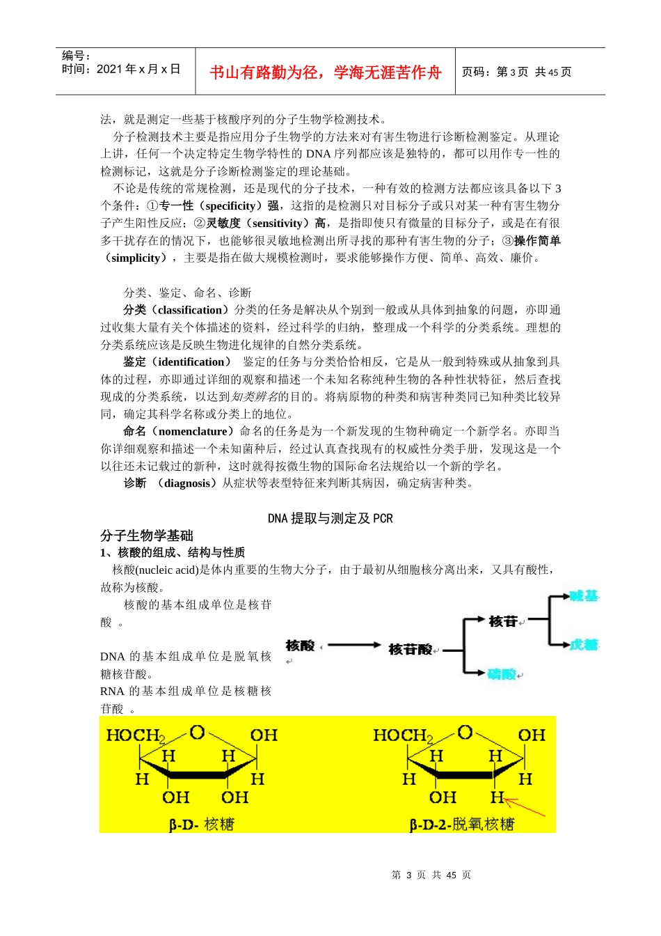 分子检验检测技术培训讲义_第3页