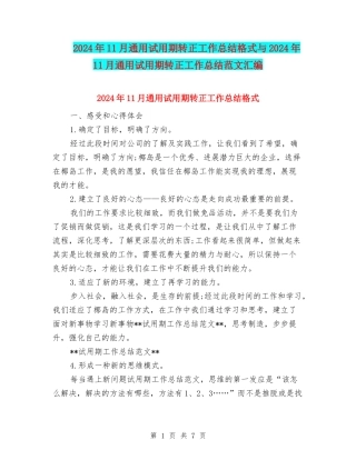2024年11月通用试用期转正工作总结格式与2024年11月通用试用期转正工作总结范文汇编