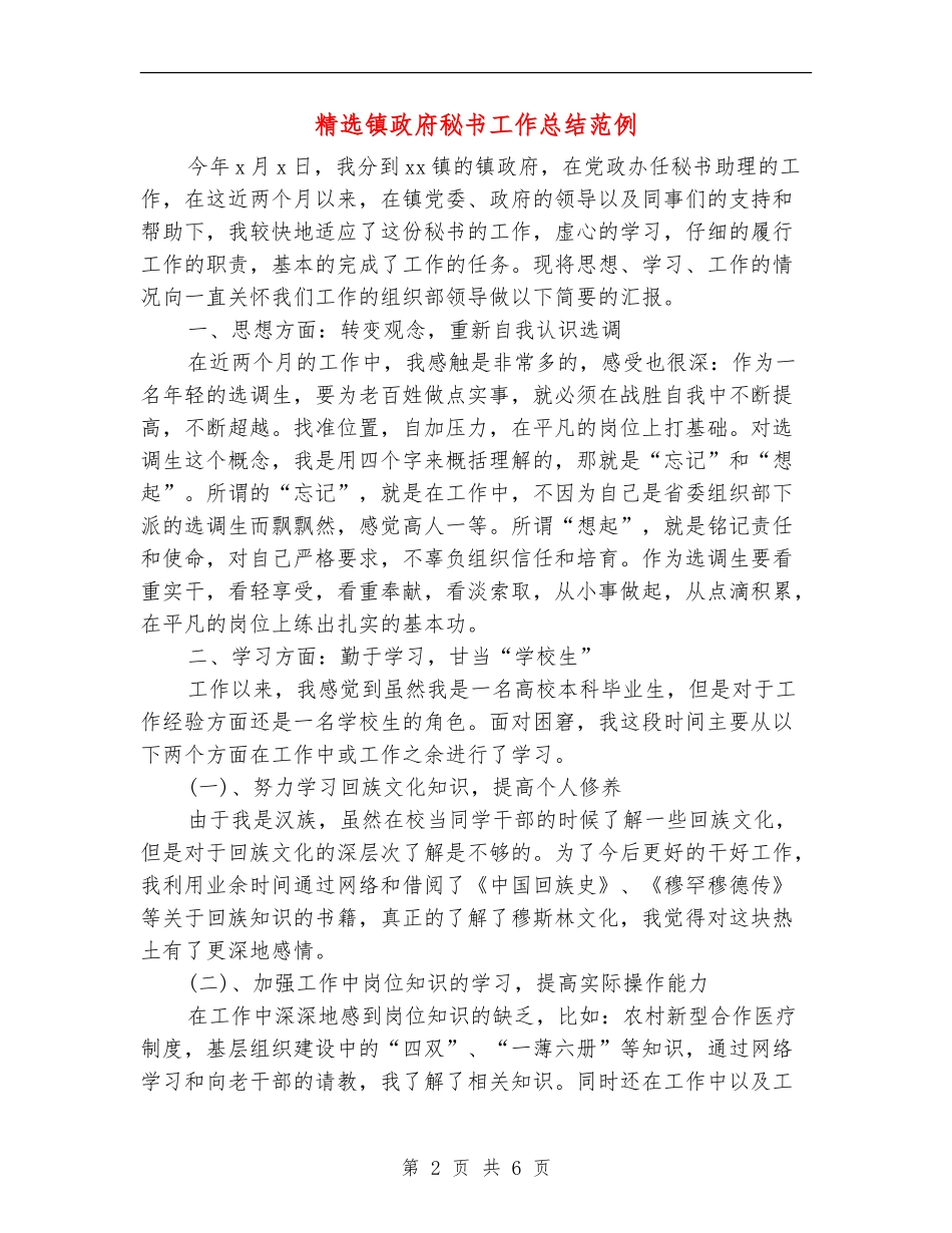 精选镇政府秘书工作总结范例_第2页