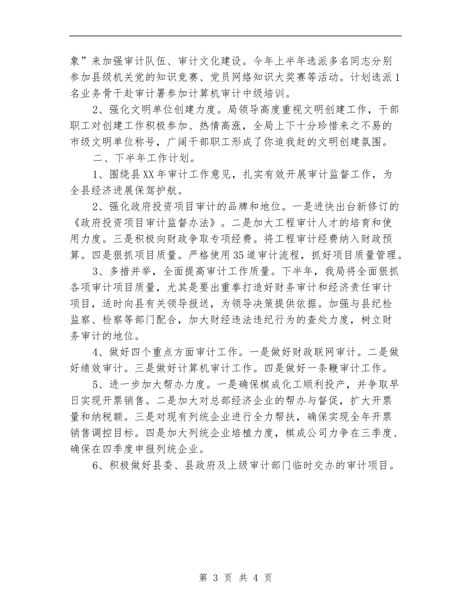 审计局2024年半年工作总结暨下年工作计划_第3页