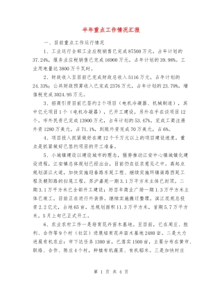半年重点工作情况汇报