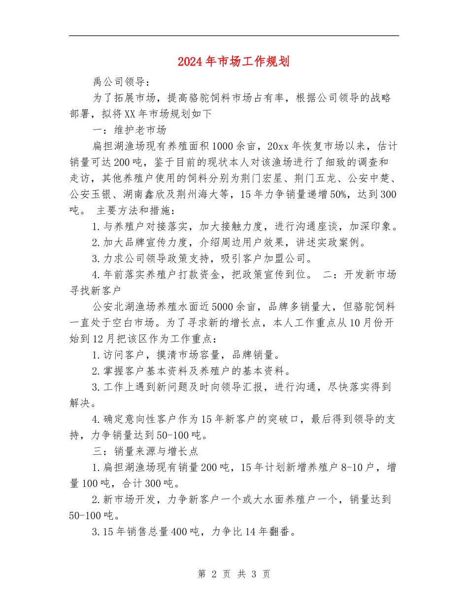 2024年市场工作规划_第2页