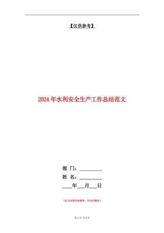 2024年水利安全生产工作总结范文