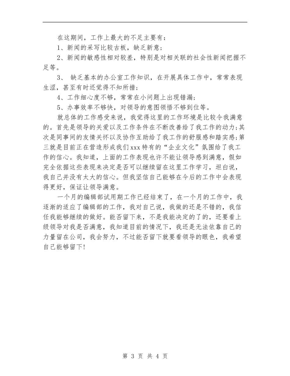 最新编辑部试用期工作总结精选_第3页