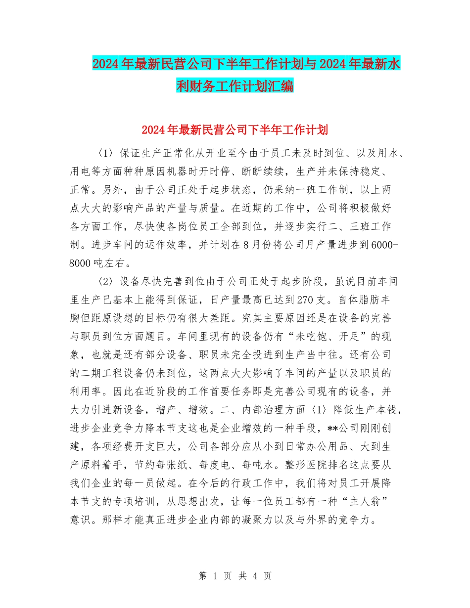 2024年最新民营公司下半年工作计划与2024年最新水利财务工作计划汇编_第1页