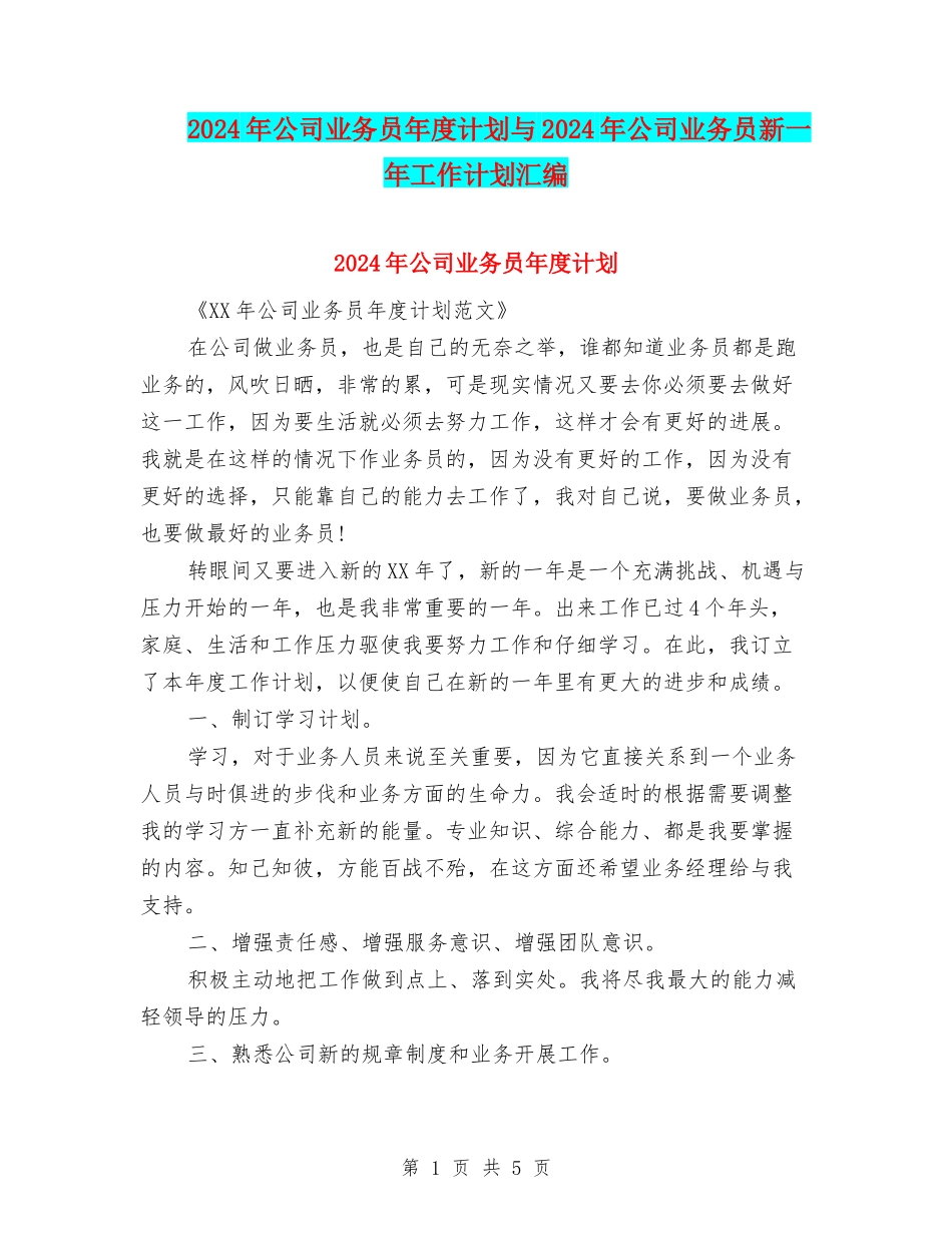2024年公司业务员年度计划与2024年公司业务员新一年工作计划汇编_第1页