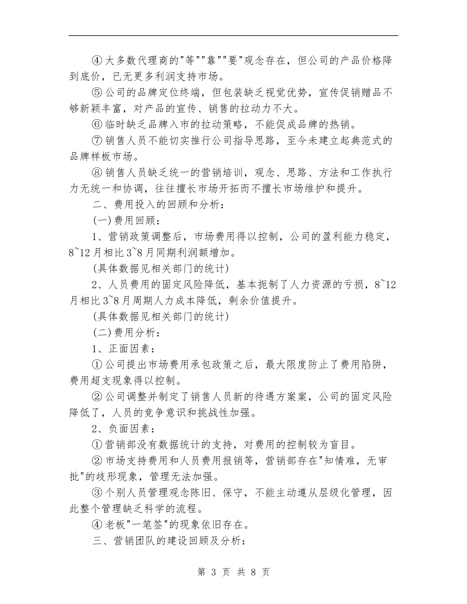 销售总监年终工作总结报告_第3页