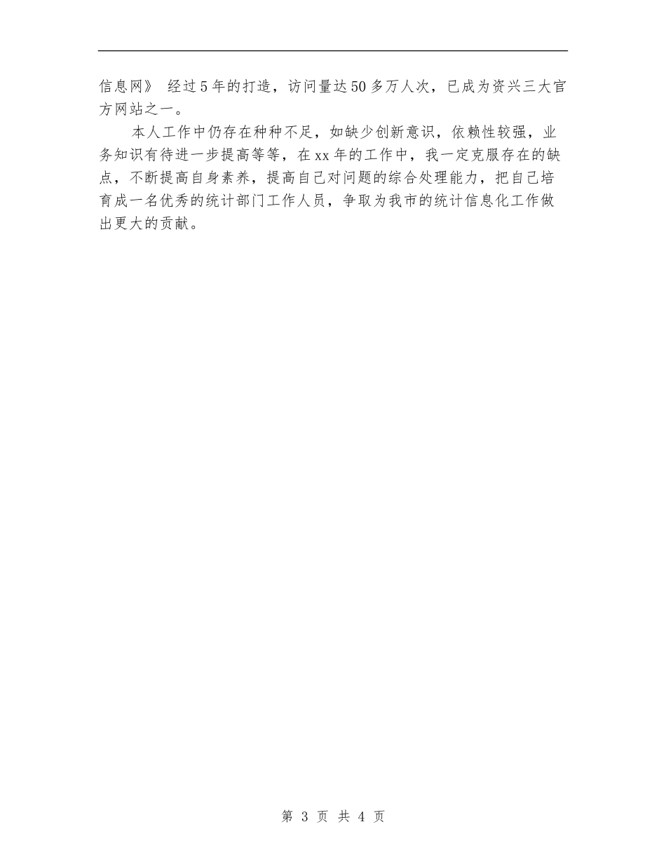 2024年11月统计个人工作总结范文_第3页