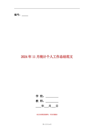 2024年11月统计个人工作总结范文