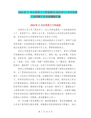2024年11月公司员工工作总结与2024年11月公司员工试用期工作总结模板汇编