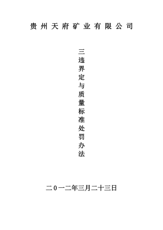 天府公司三违与质量标准处罚办法(修改完成)