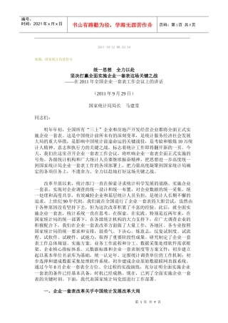 在全国企业一套表工作会议上的讲话