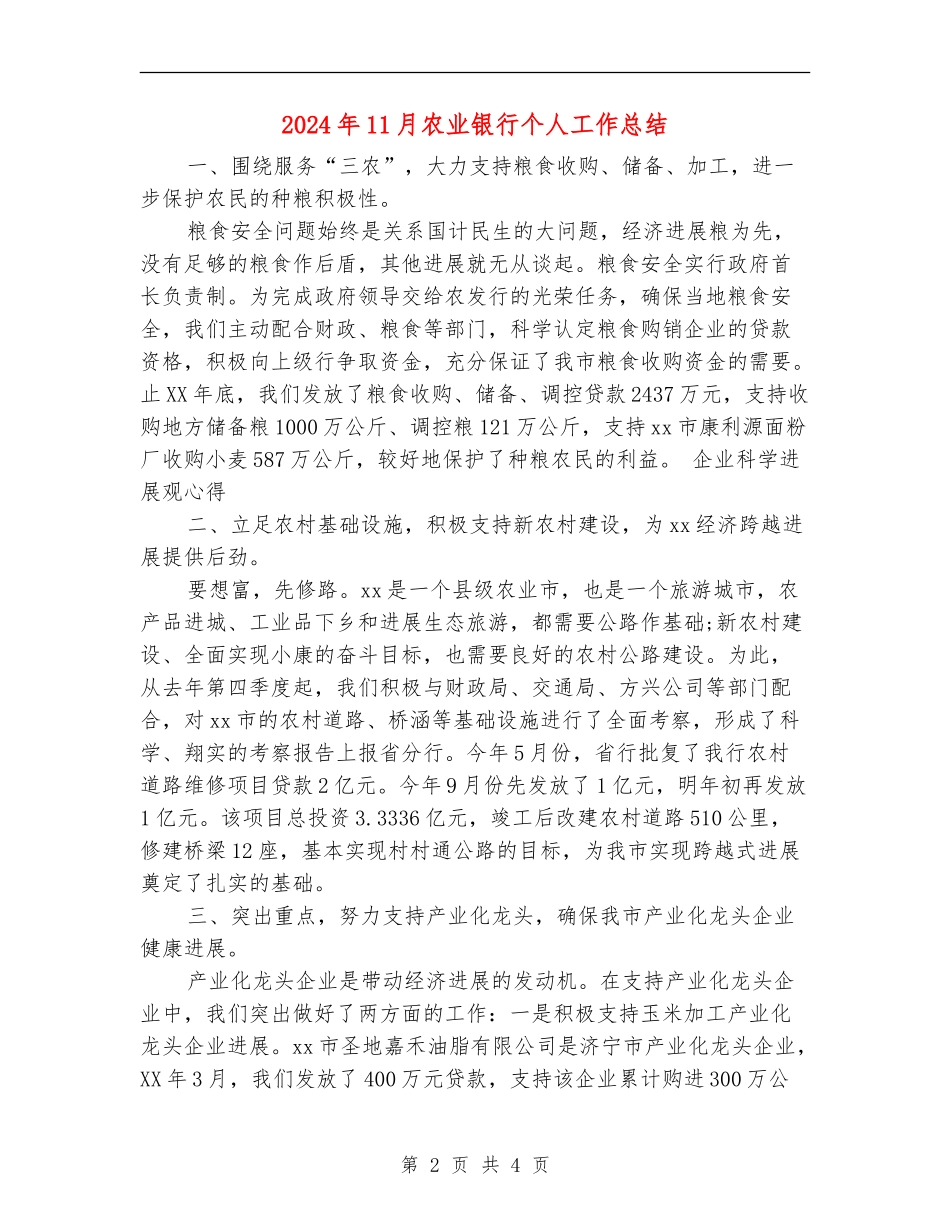 2024年11月农业银行个人工作总结_第2页