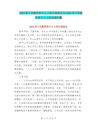 2024年3月程序员个人工作计划范文与2024年3月统计员个人工作总结汇编