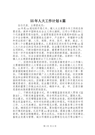 XX年人大工作计划4篇