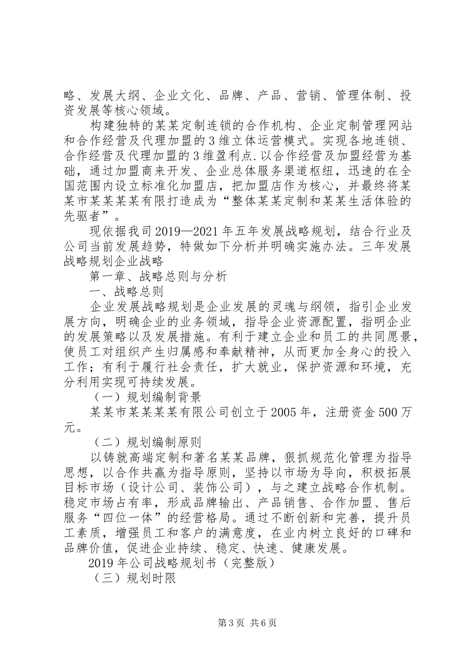 XX年公司战略规划书(完整版)_第3页