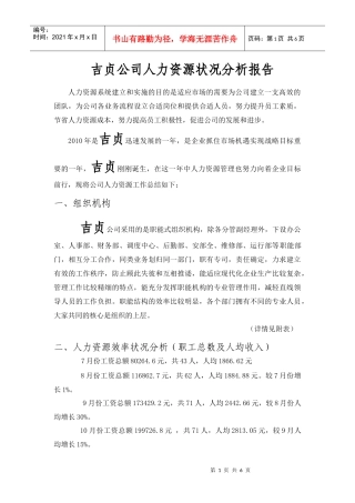 吉贞公司人力资源状况分析报告