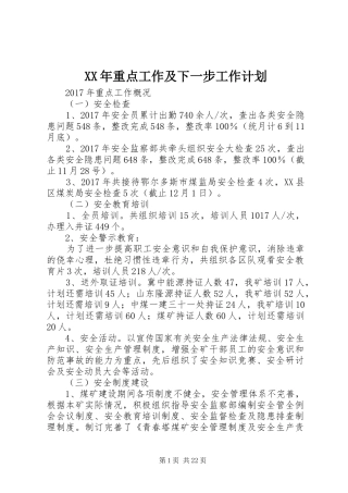 XX年重点工作及下一步工作计划